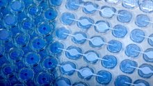 FPD manufacturing processes are used to integrate microfluidics, membranes and more.