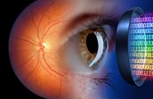Quantitative Retinal Imaging image of an eye