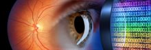 Quantitative Retinal Imaging image of an eye